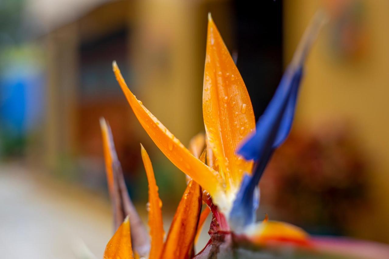 Xandari Resort & Spa Sabanilla de Pampas Dış mekan fotoğraf